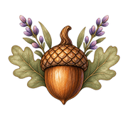 Oakley acorn