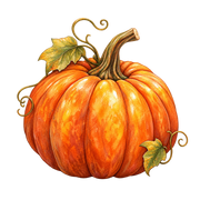 Pumpkin