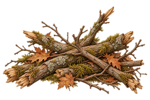 Pile of branches